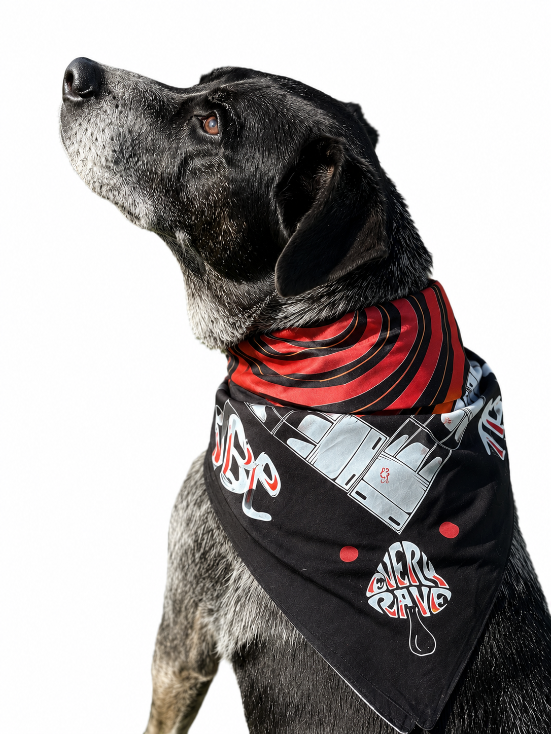 Bandana Tribal