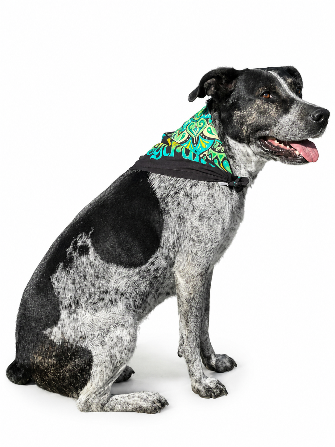 Bandana transcendant 2