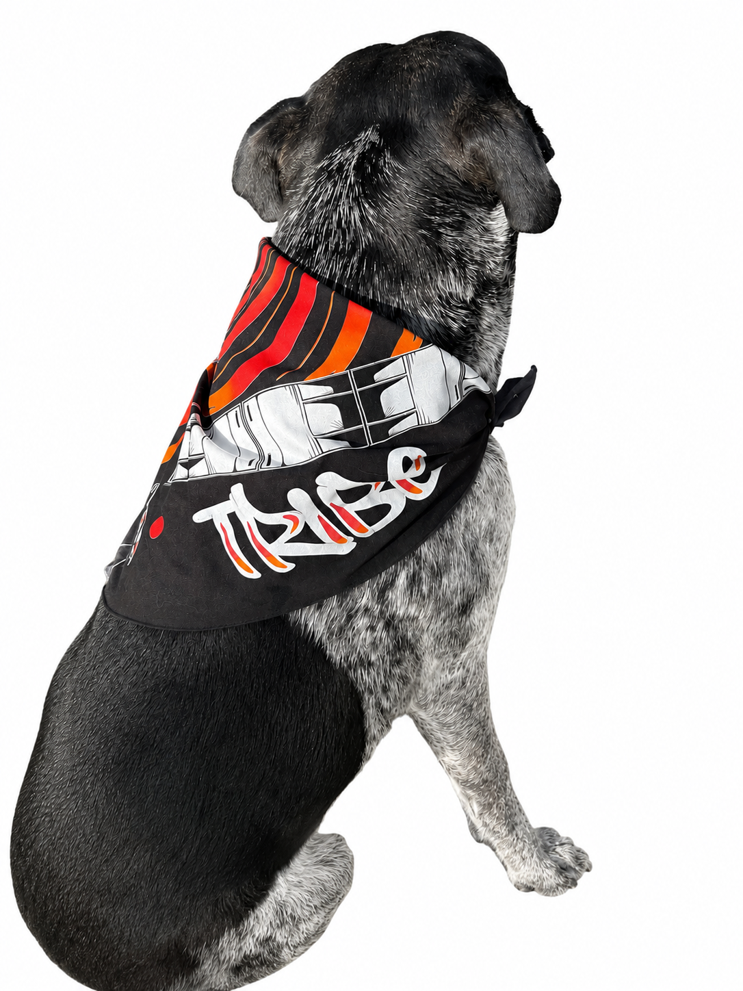 Bandana Tribal