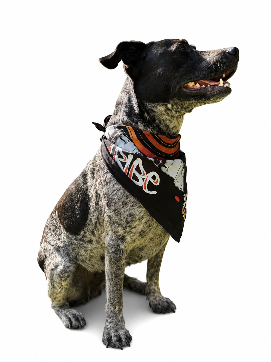 Bandana Tribal