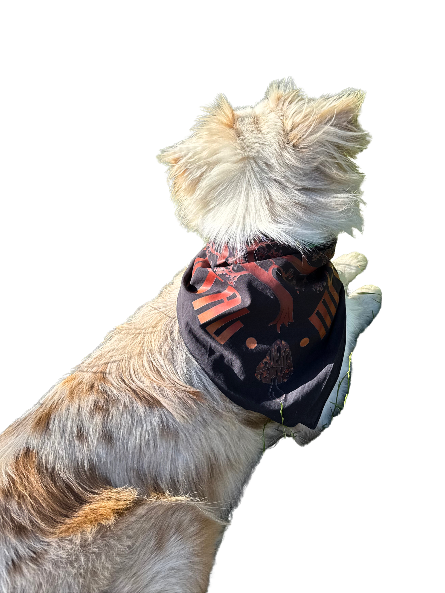 Bandana mentalisé